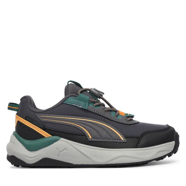 Sneakersy Puma Evolve 2.0 Trail Lo Ps 313805 Szary